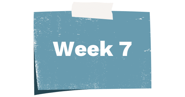 Week seven